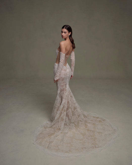 Shakira SE087 Gown & Sleeve