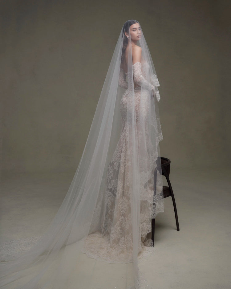 Shakira SE087 Gown & Sleeve