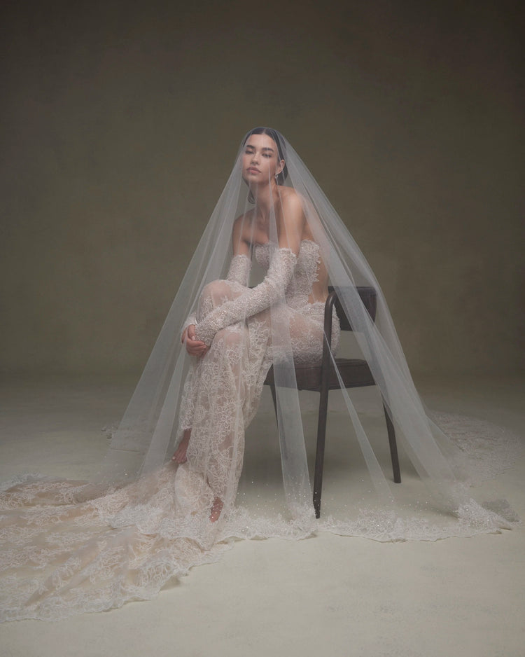 Shakira SE087 Gown & Sleeve