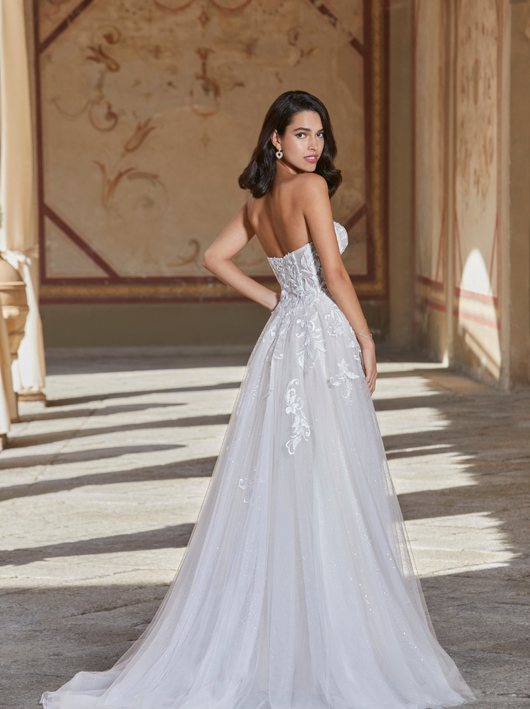 Chanelle Gown and Sleeves